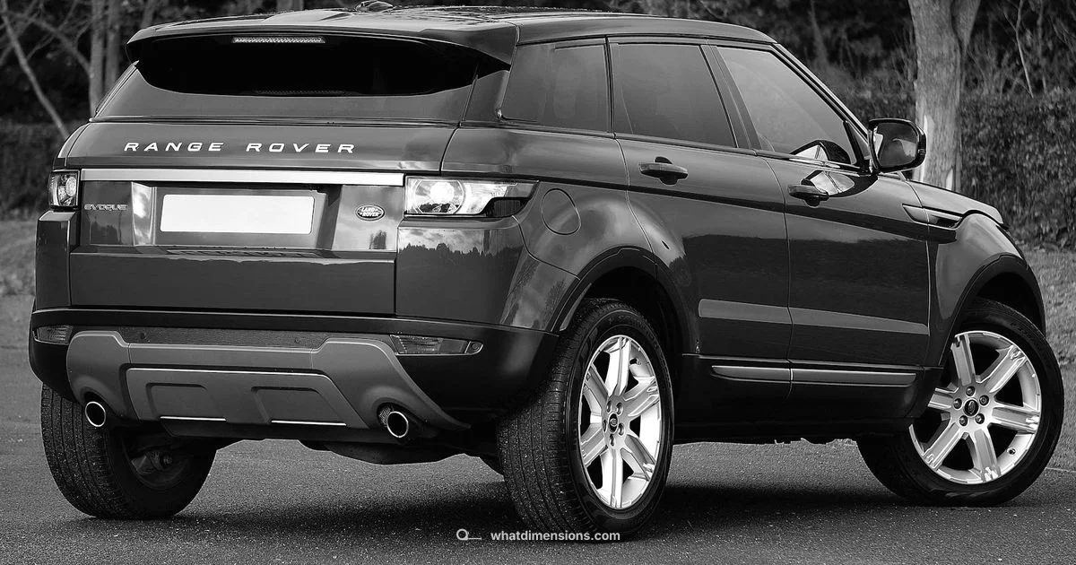 Dimensions Showdown - What Dimensions