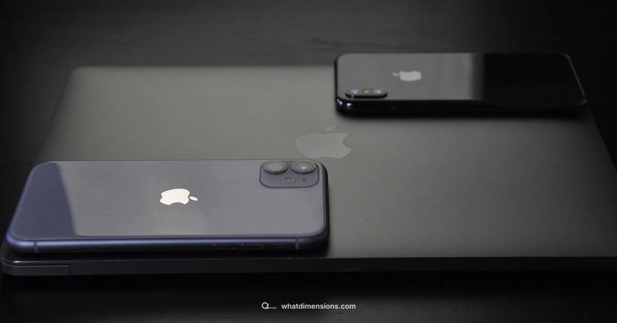 iPhone 11 Size Guide - What Dimensions