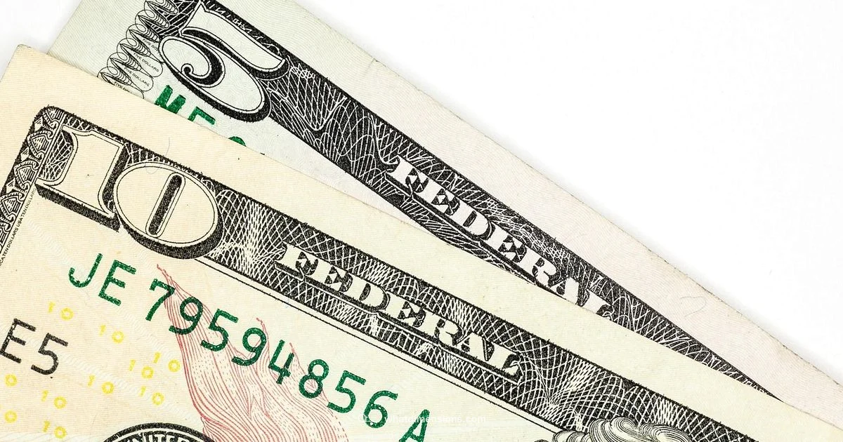 Dollar Bill Size - What Dimensions