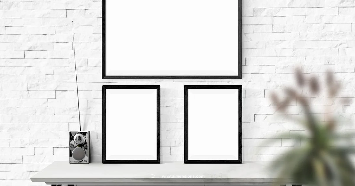 Dimension Concept - What Dimensions