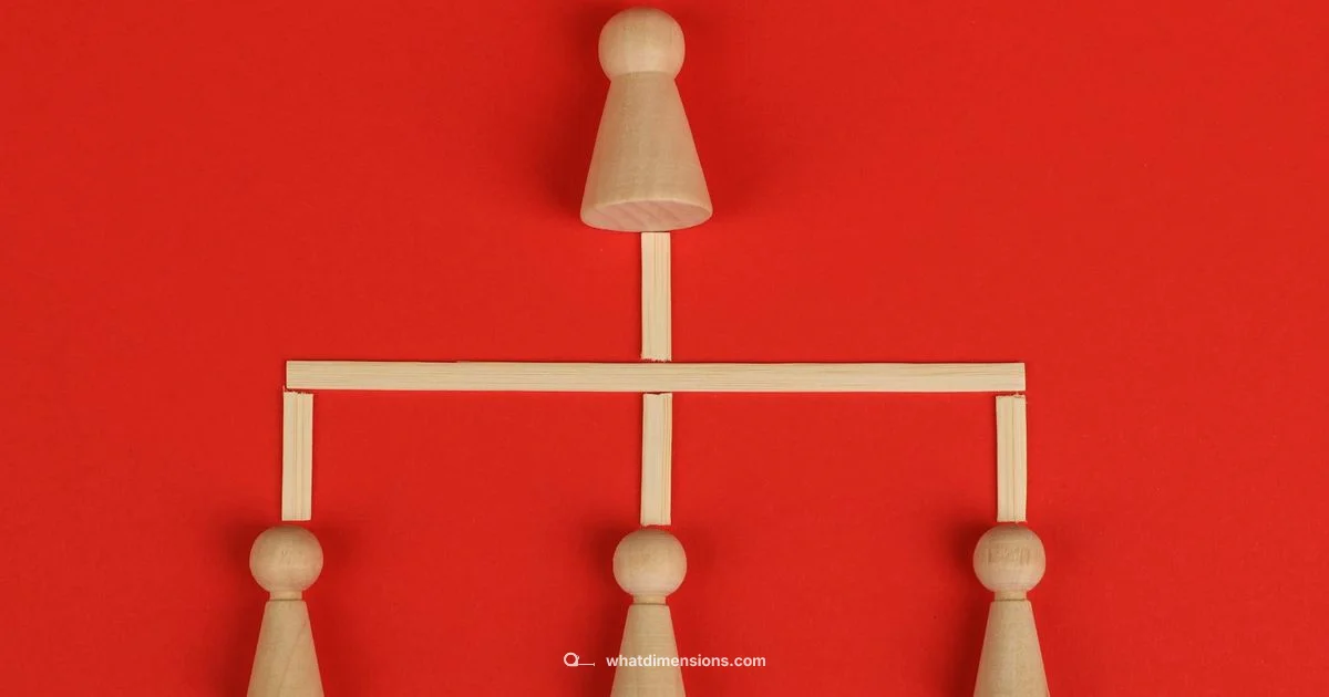 Dimension Order - What Dimensions