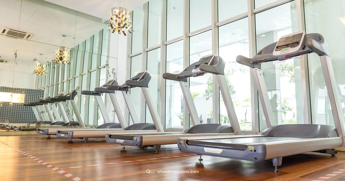 Pickleball vs Tennis - What Dimensions