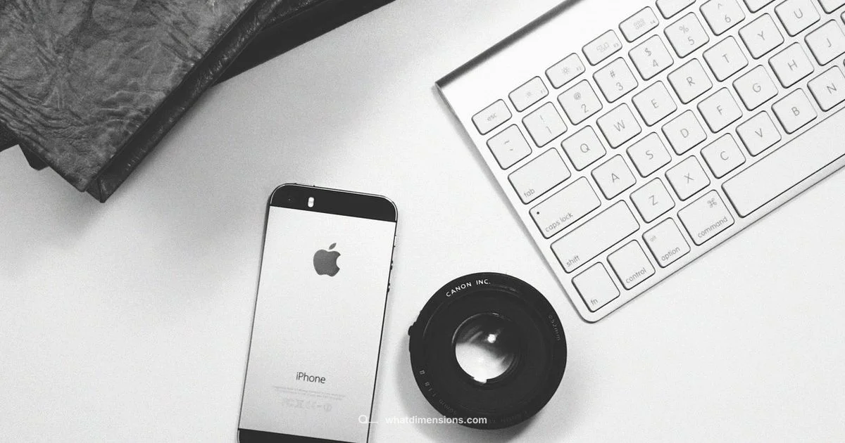 iPhone Size Guide - What Dimensions