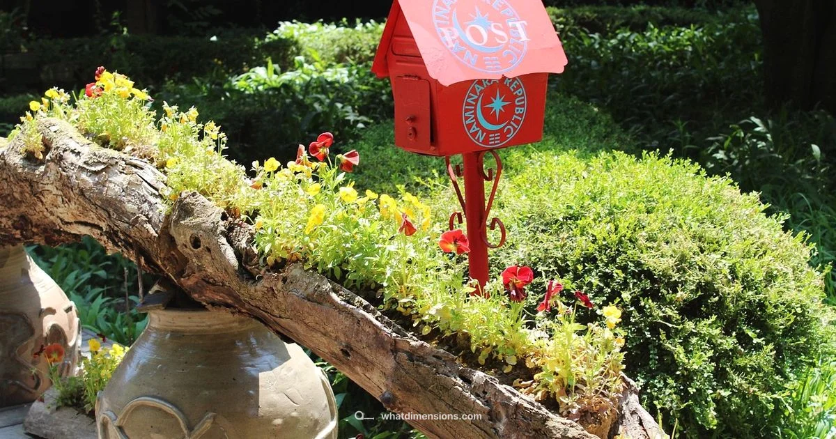 Flat Rate Box Sizes - What Dimensions