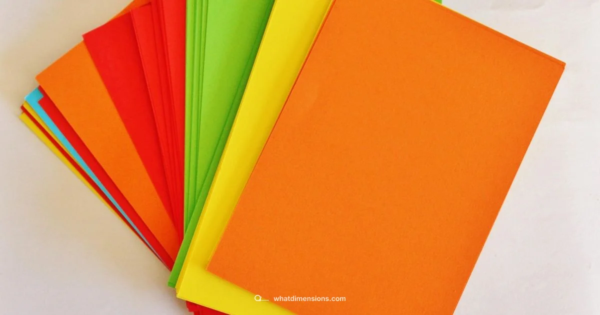 A1 Size Guide - What Dimensions