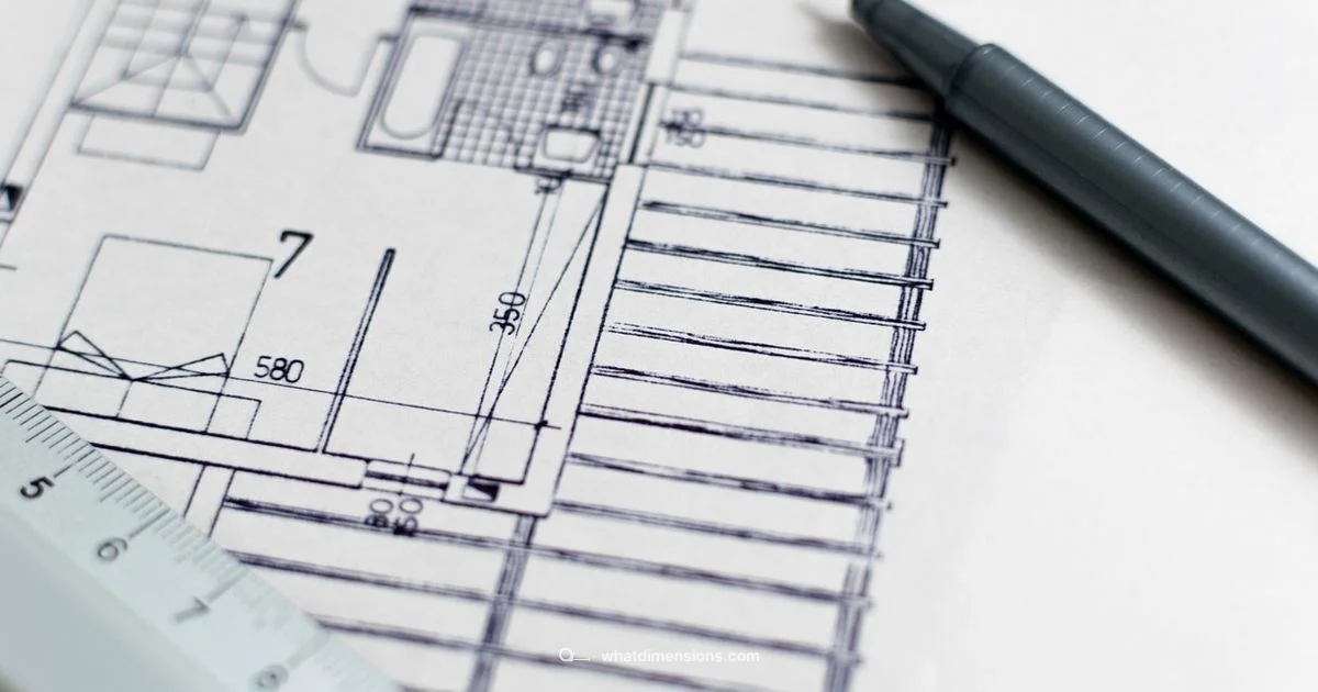 D Size Guide - What Dimensions