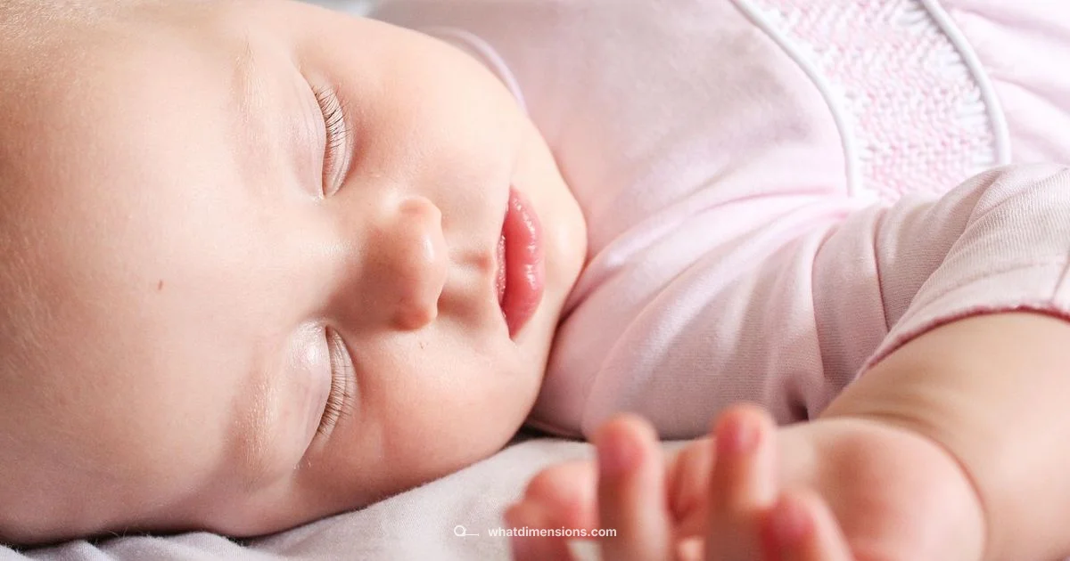 Size-Up Guide - What Dimensions