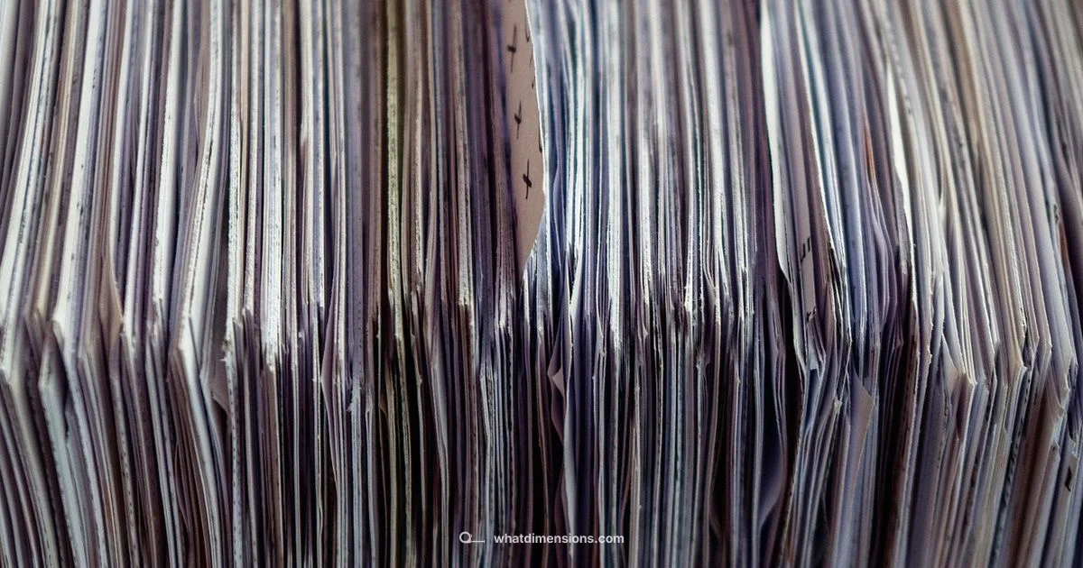 Sheet Size Essentials - What Dimensions