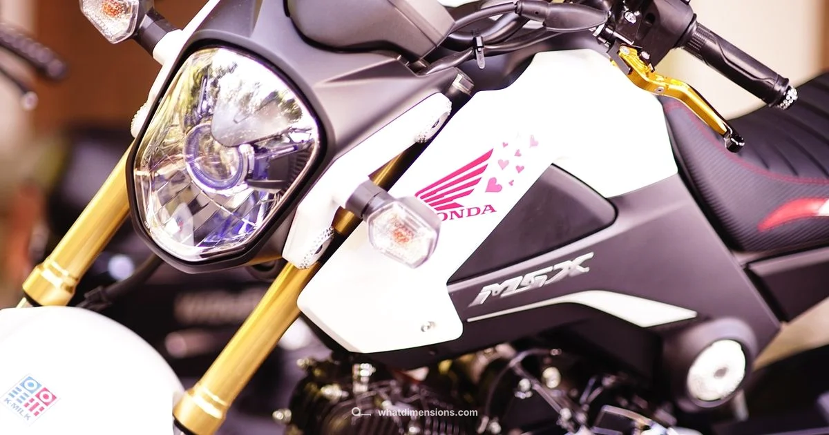 2012 Accord Size Guide - What Dimensions