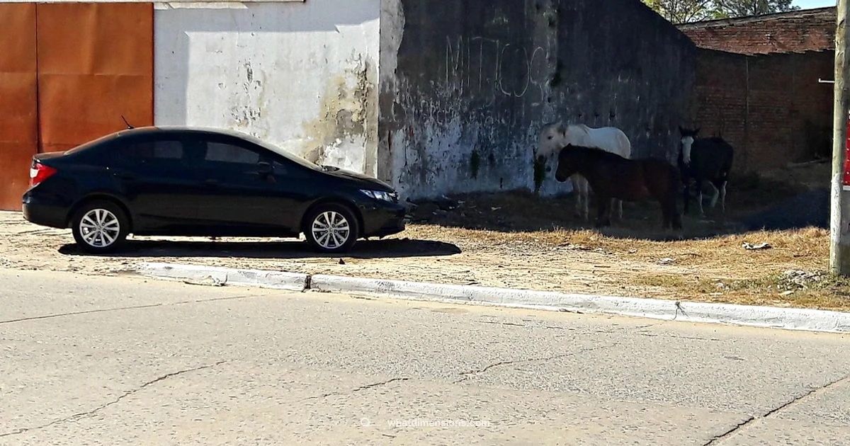 Ten Dimensions of Reality - What Dimensions