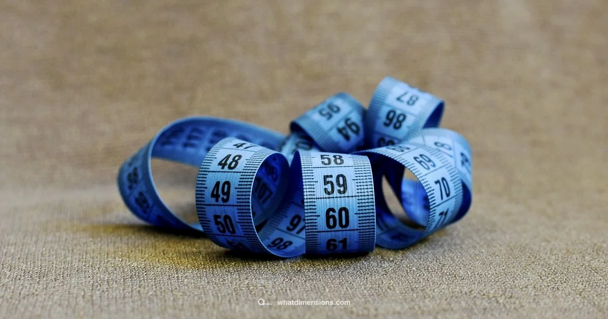 Pants Size Guide - What Dimensions