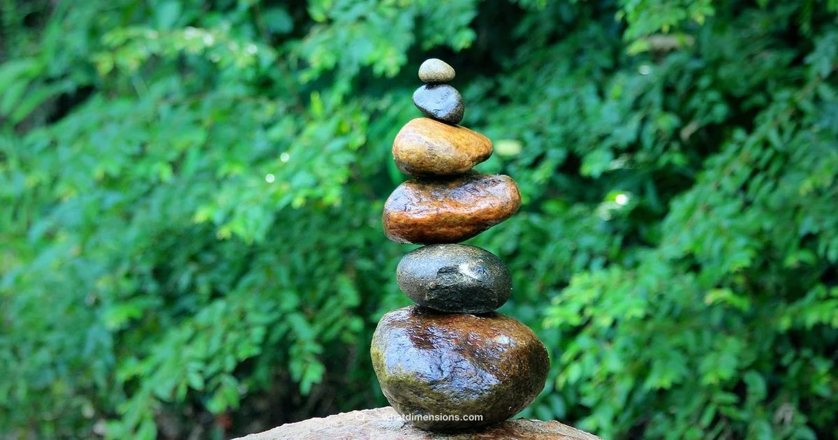 Wellness Balance - What Dimensions