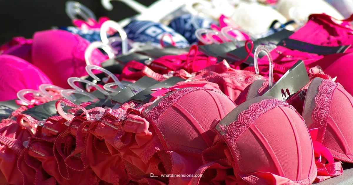 Sizing Map - What Dimensions