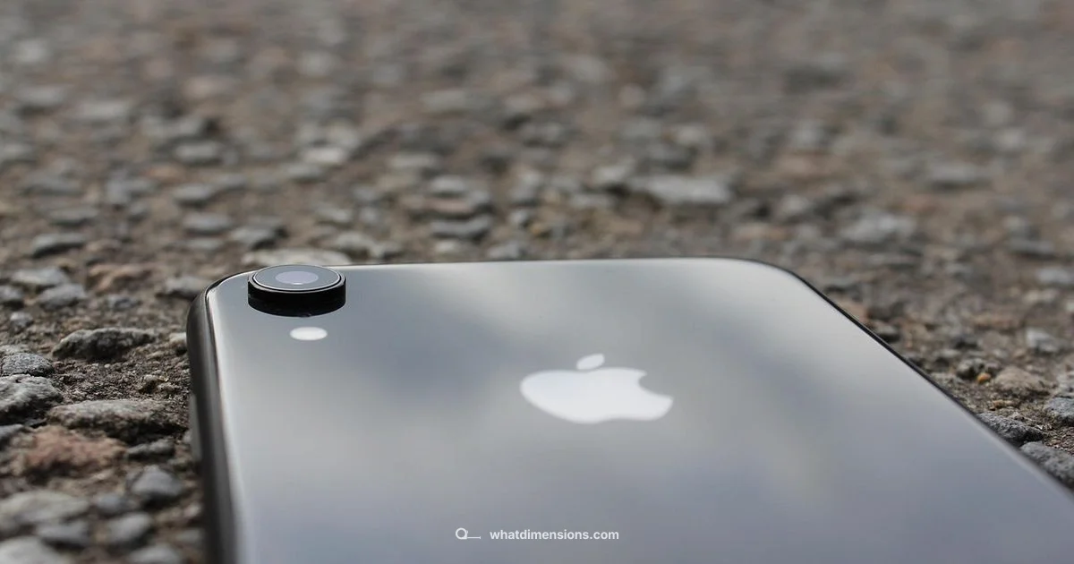 XR Size Reference - What Dimensions