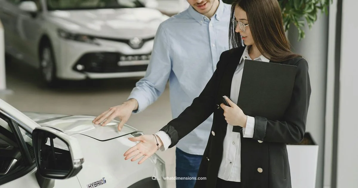 Dimensions Showdown - What Dimensions