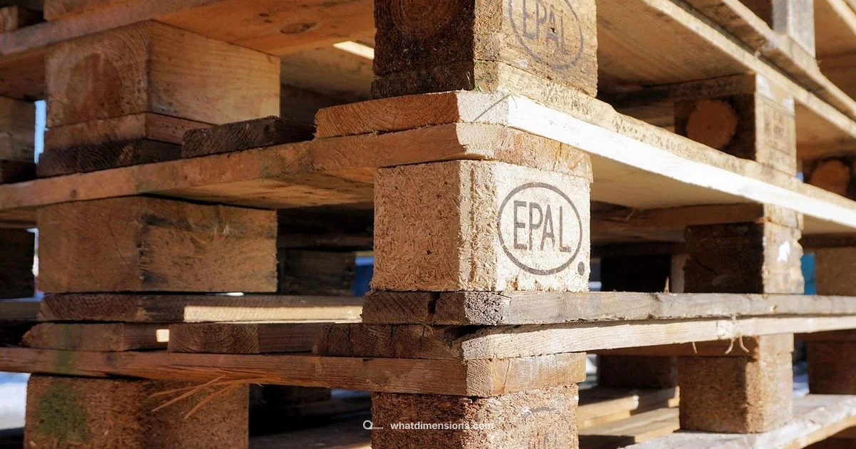 Euro pallet size - What Dimensions