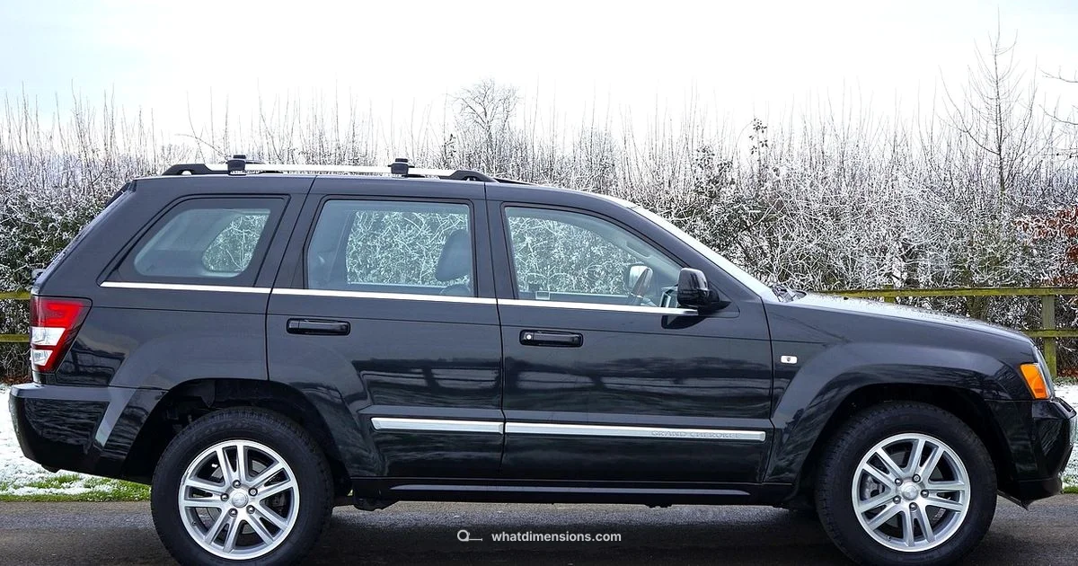 Punch vs Nexon Size - What Dimensions