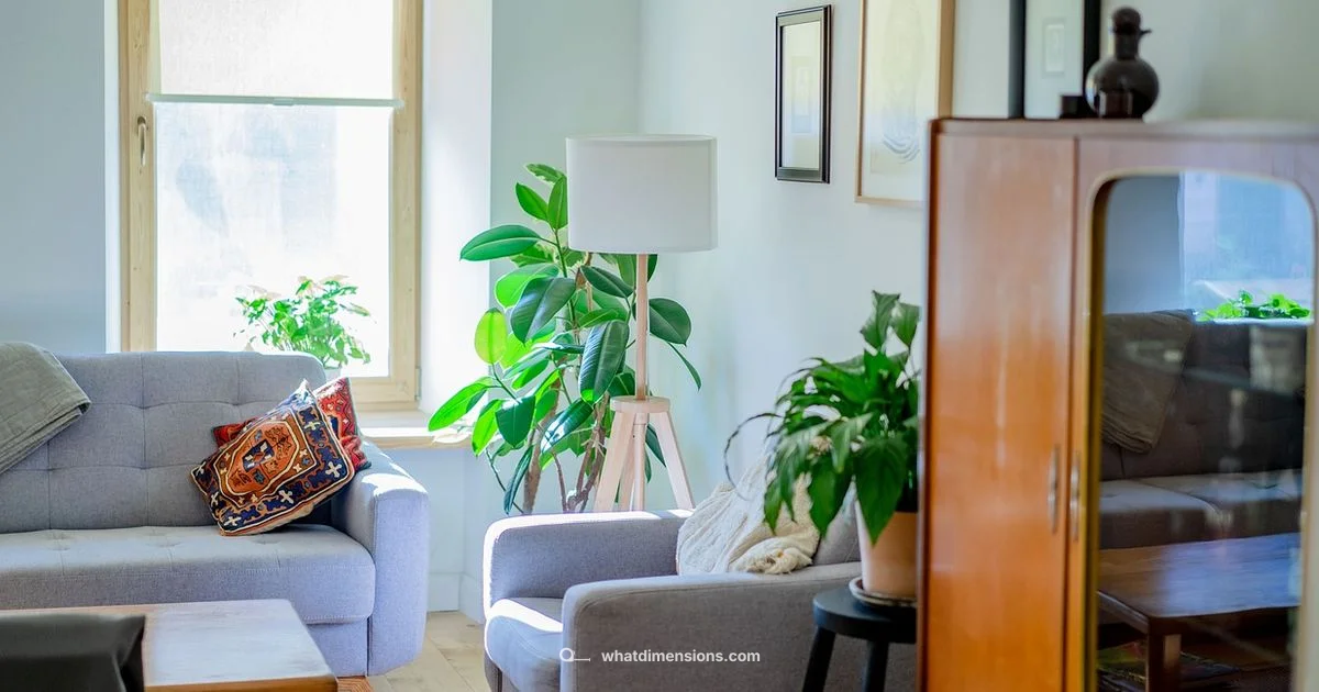 Precise Room Dimensions - What Dimensions