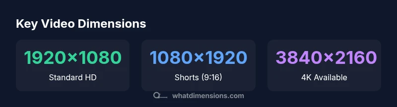 infographic showing standard video dimensions and formats