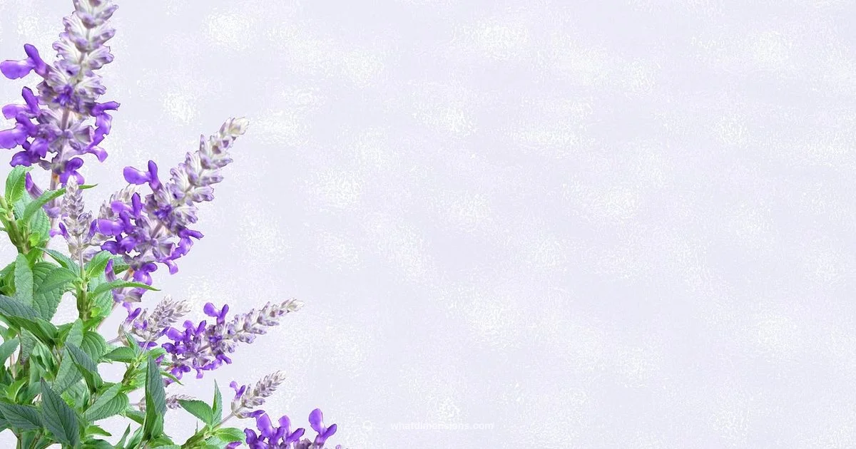 Invite Size Guide - What Dimensions