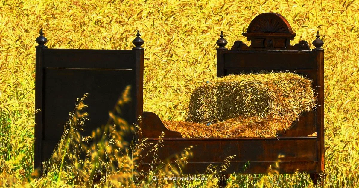 Oversized King Comforter Sizes - What Dimensions