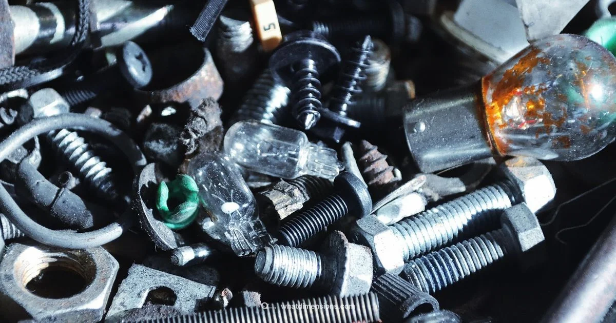 Bearings in Focus - What Dimensions