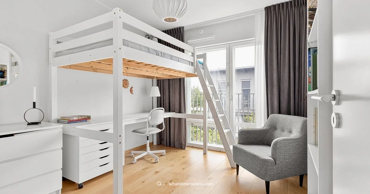 Dimension Showdown - What Dimensions