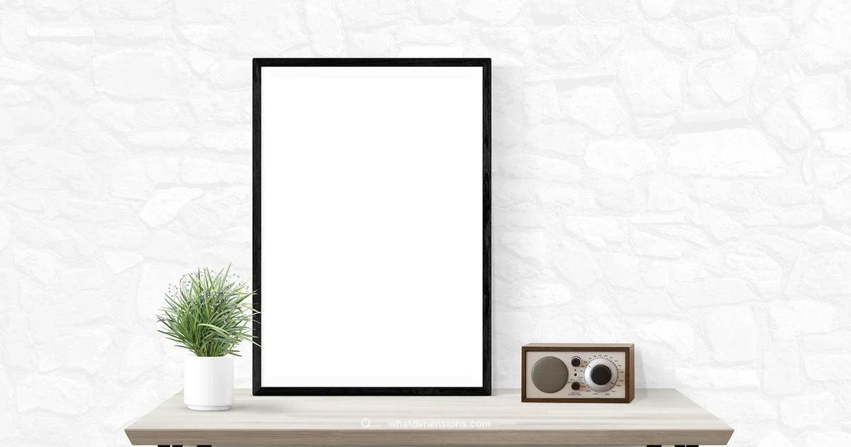 A3 Size Basics - What Dimensions