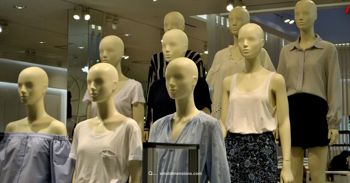 POP Dimensions Guide - What Dimensions