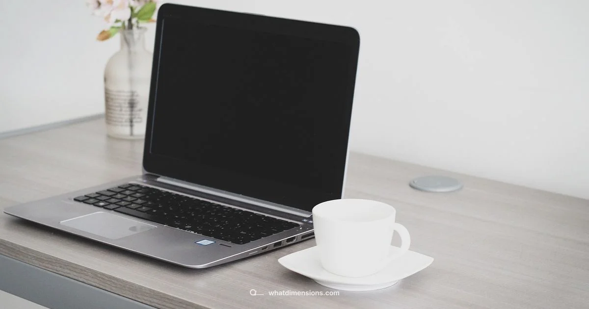 Precise Size References Precise Size References - What Dimensions