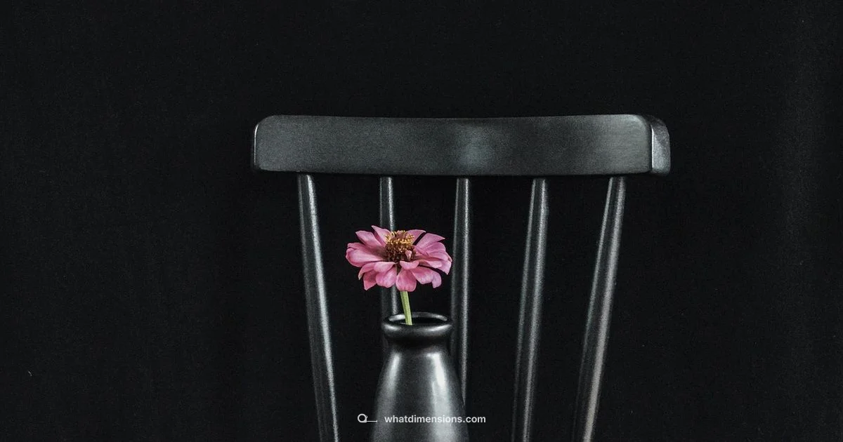 Mega Dimensions Review - What Dimensions