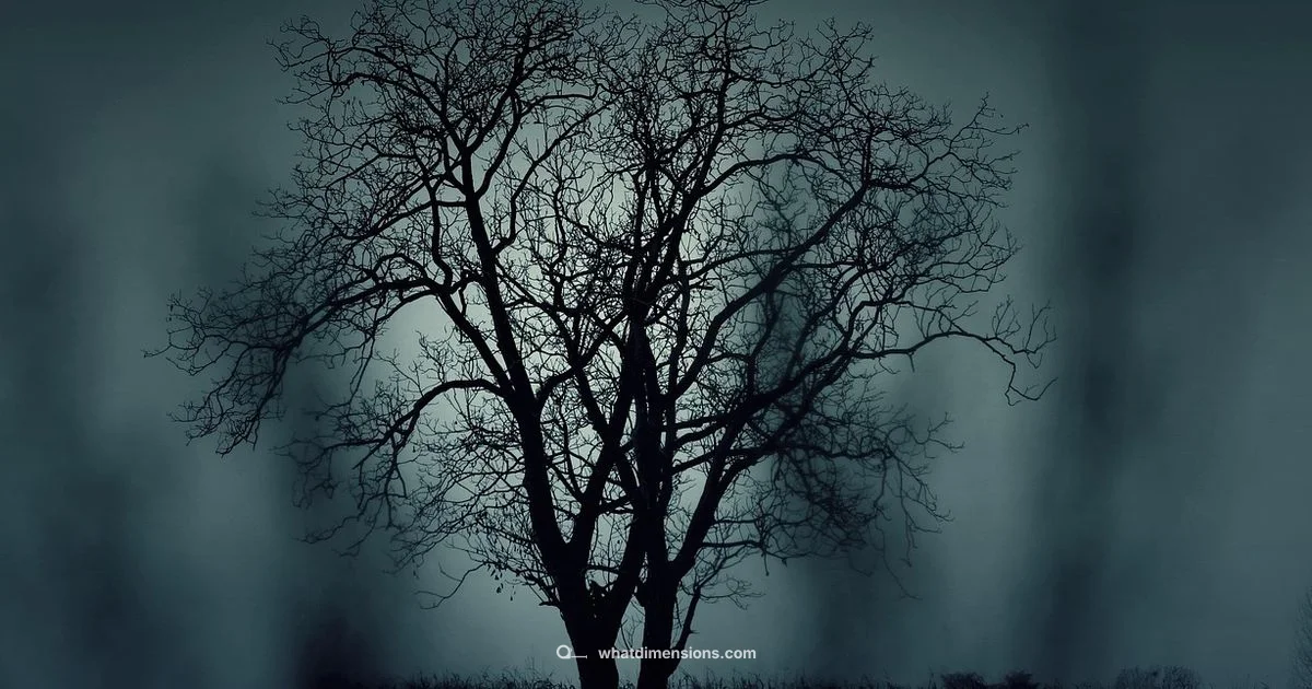 Upside Down Explained - What Dimensions