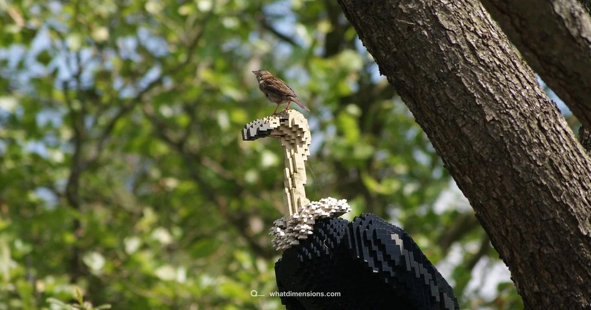 Lego Dimensions Guide - What Dimensions