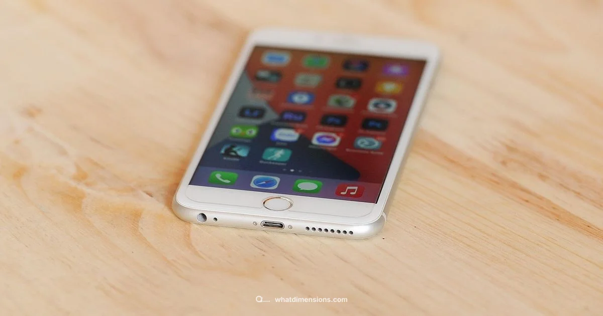 Size in Practice - What Dimensions