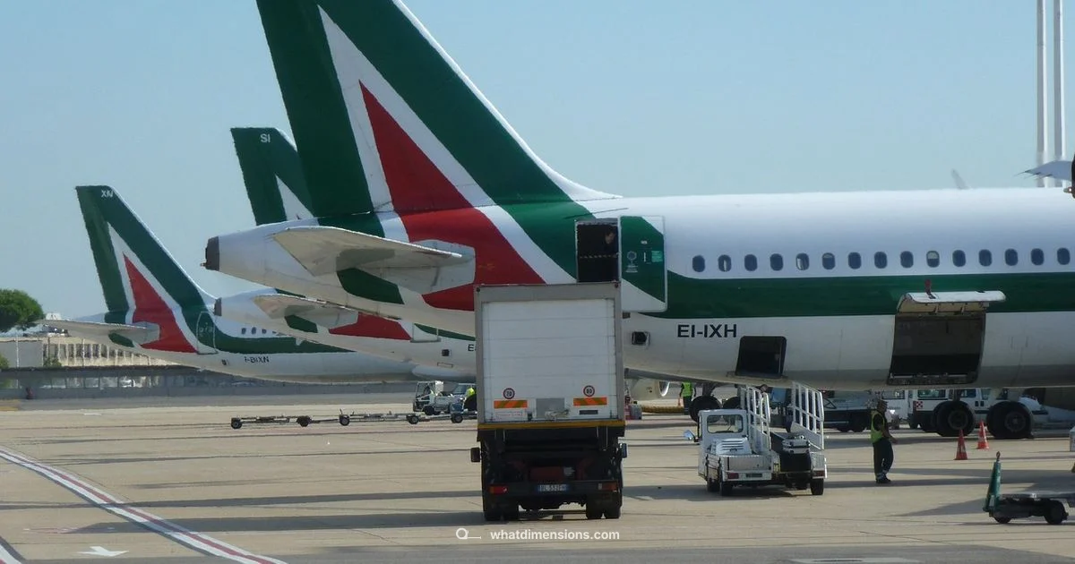 Overhead Luggage Dimensions - What Dimensions