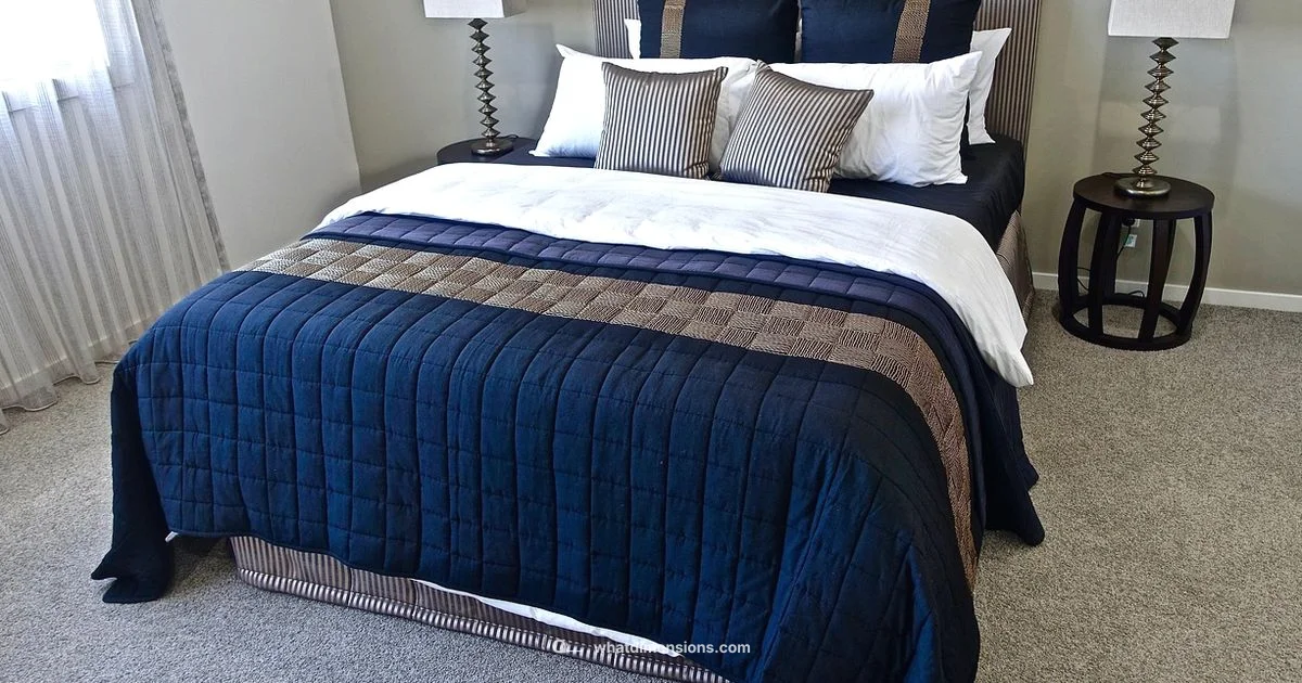 Size Showdown - What Dimensions