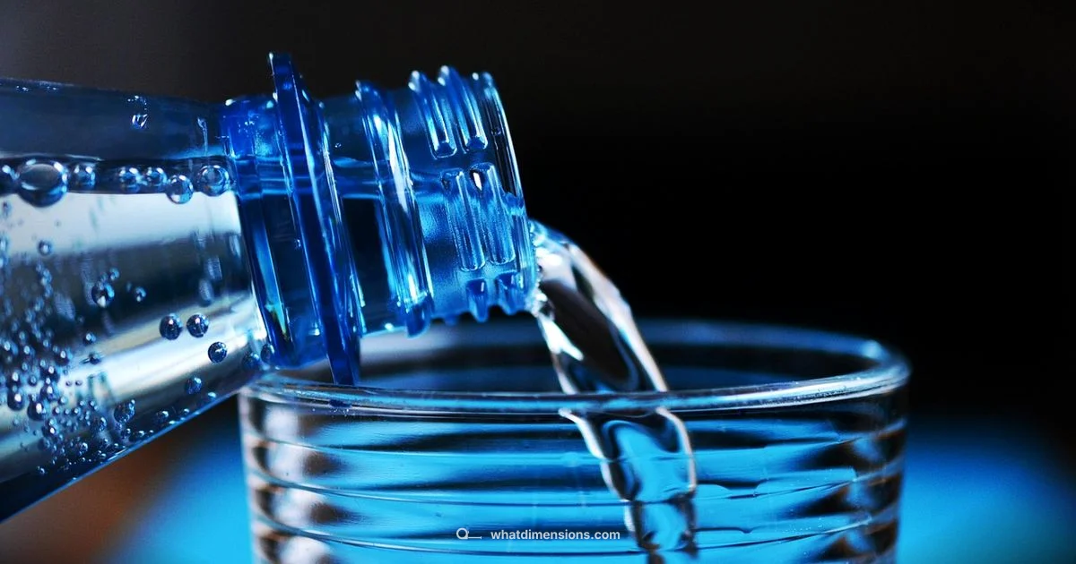 5-Gallon Size Guide - What Dimensions