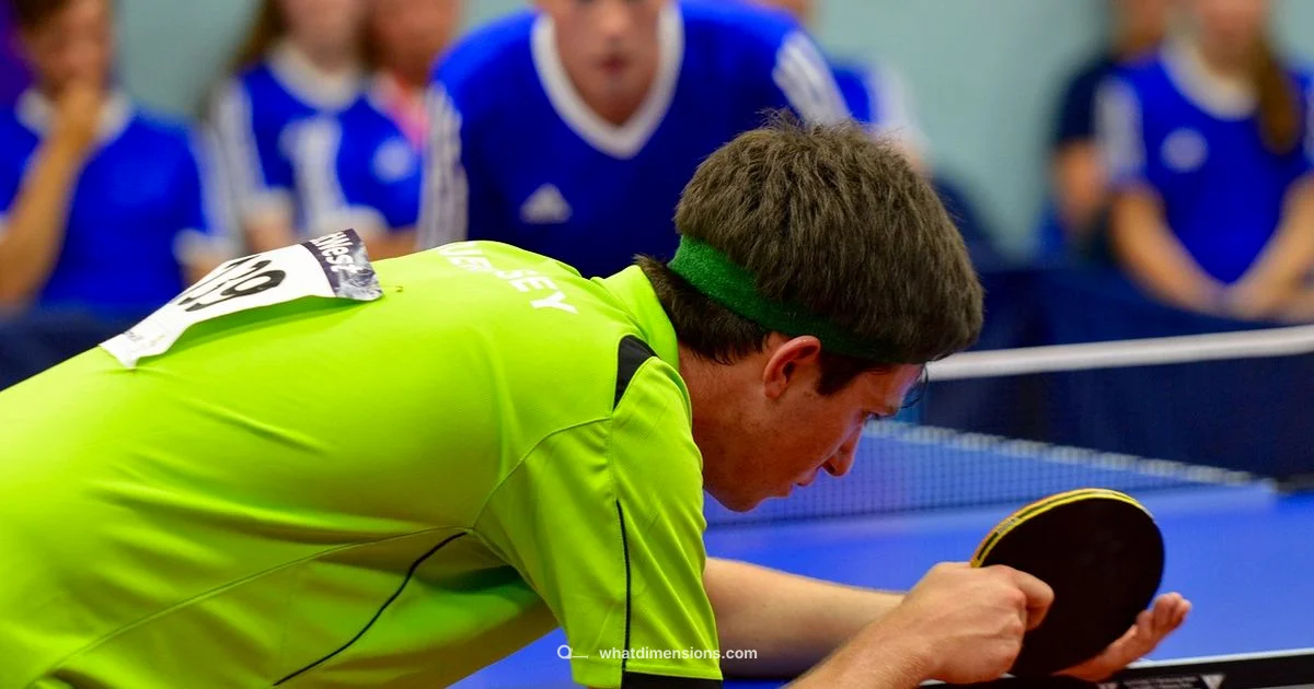 Size Guide 2026 - What Dimensions