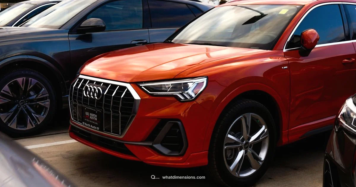 Dimension Showdown - What Dimensions