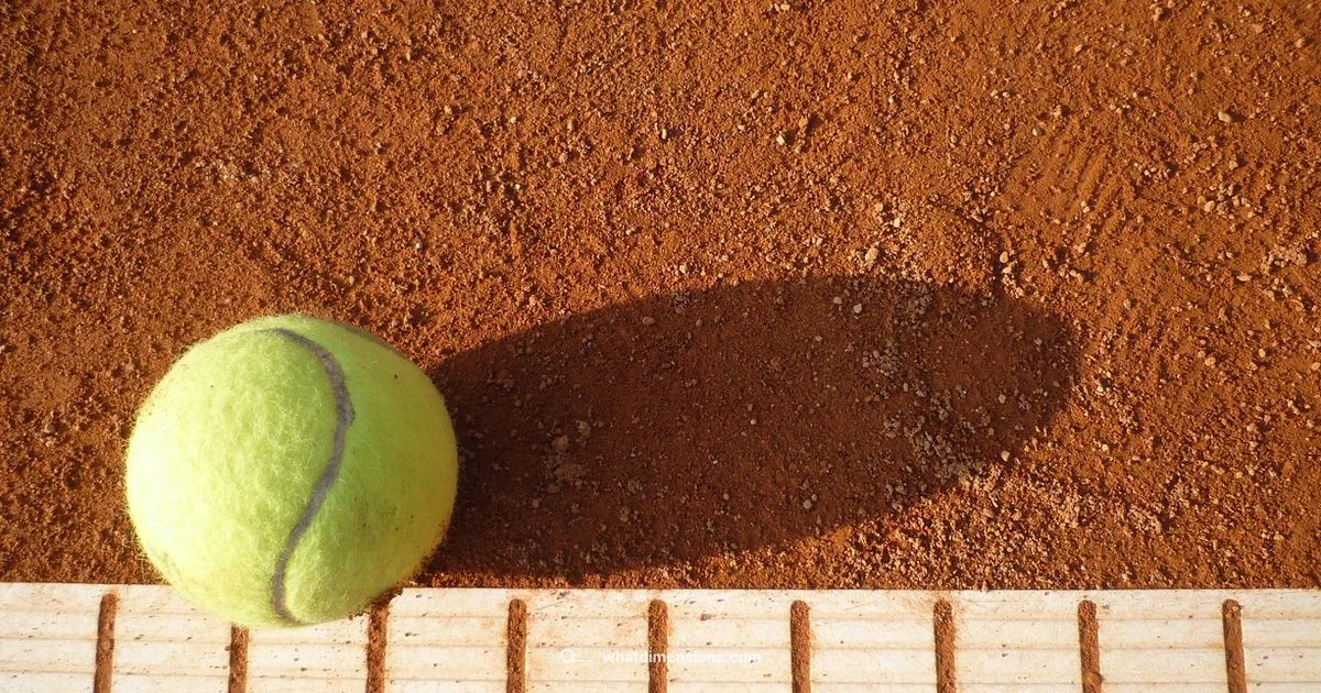 Court Dimensions - What Dimensions