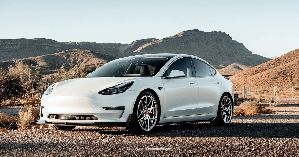 R2 vs Model Y - What Dimensions