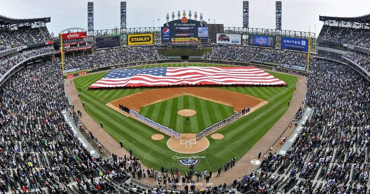 Field Dimensions - What Dimensions