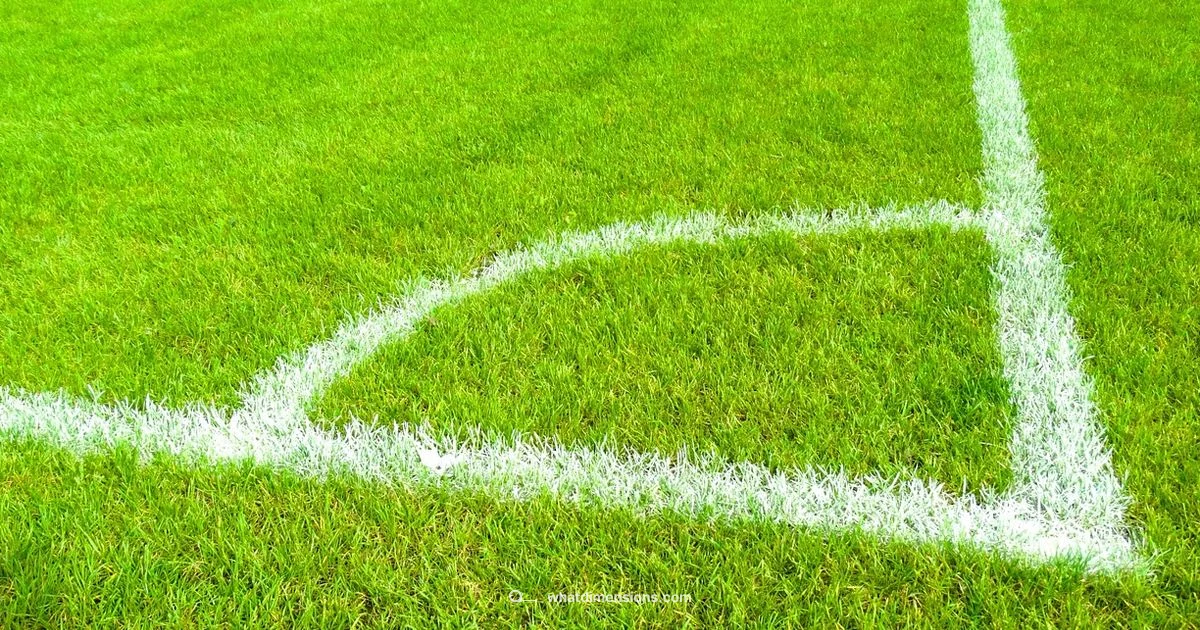 Football Field Size Guide - What Dimensions