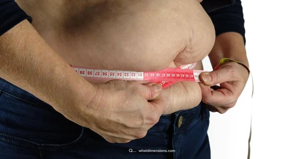 Bra Cup Sizing Guide - What Dimensions