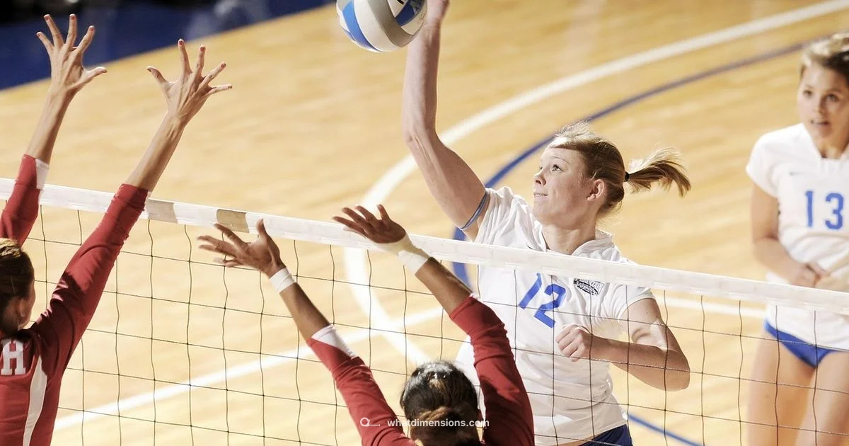 Court Dimensions - What Dimensions