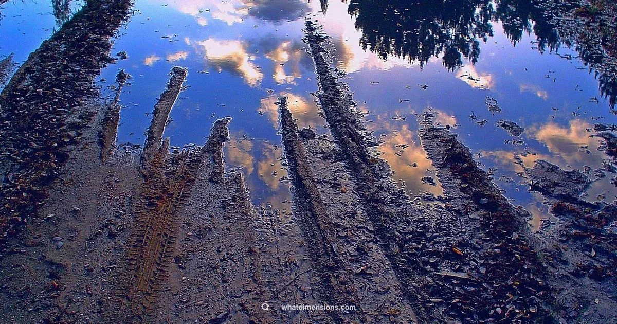 Other Dimensions - What Dimensions