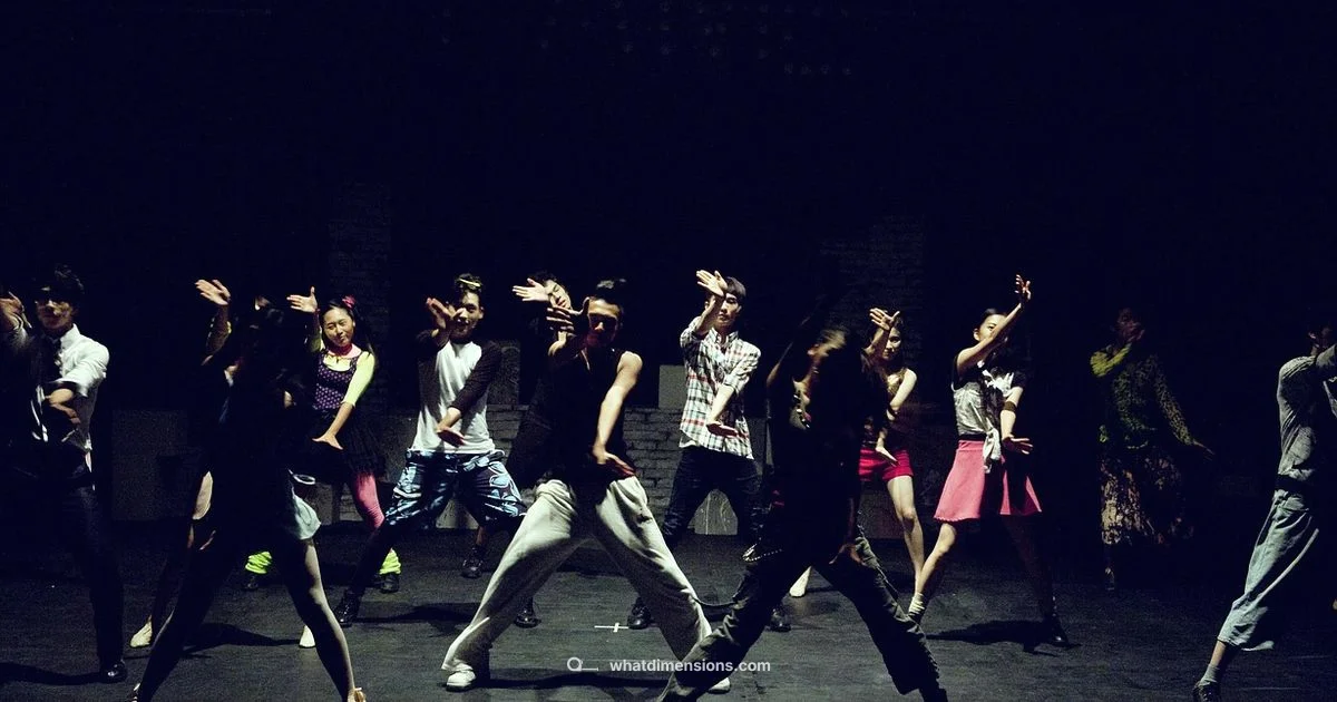 Dimensions Dance Theater - What Dimensions