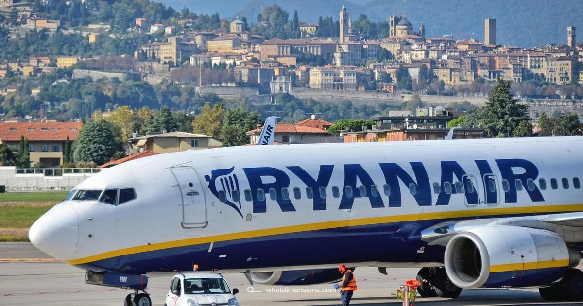 Cabin Bag Guide - What Dimensions