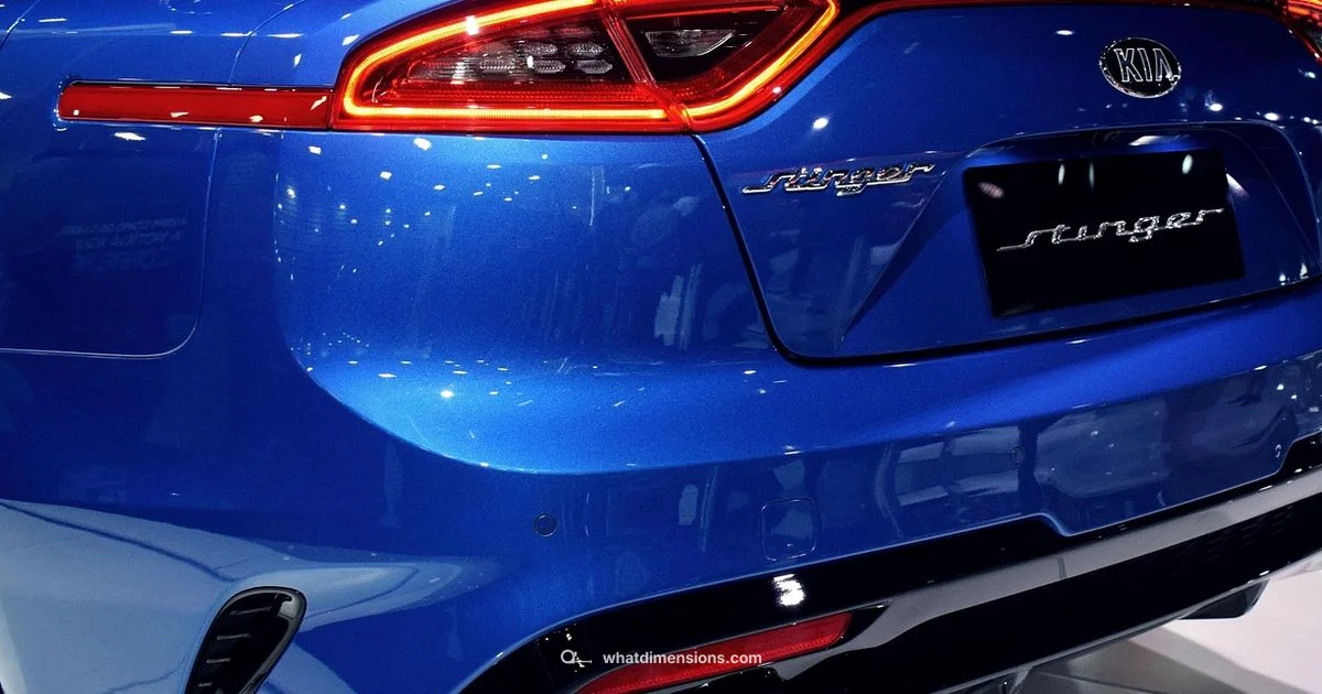 Sportage Size Guide Sportage Size Guide - What Dimensions