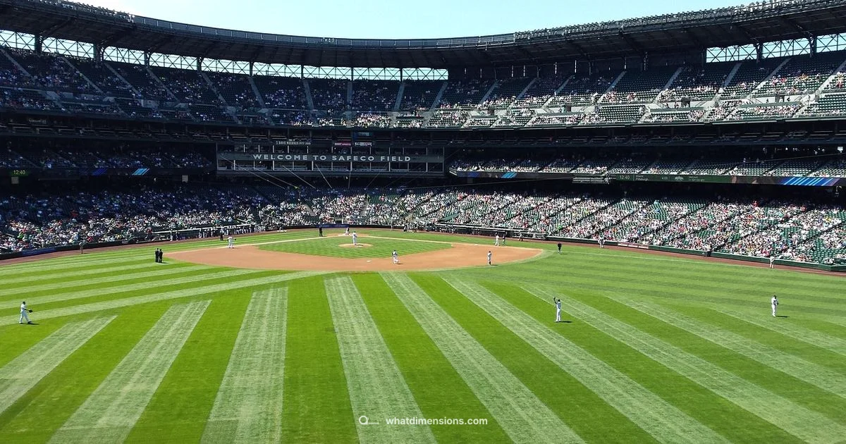 Baseball Field Dimensions - What Dimensions